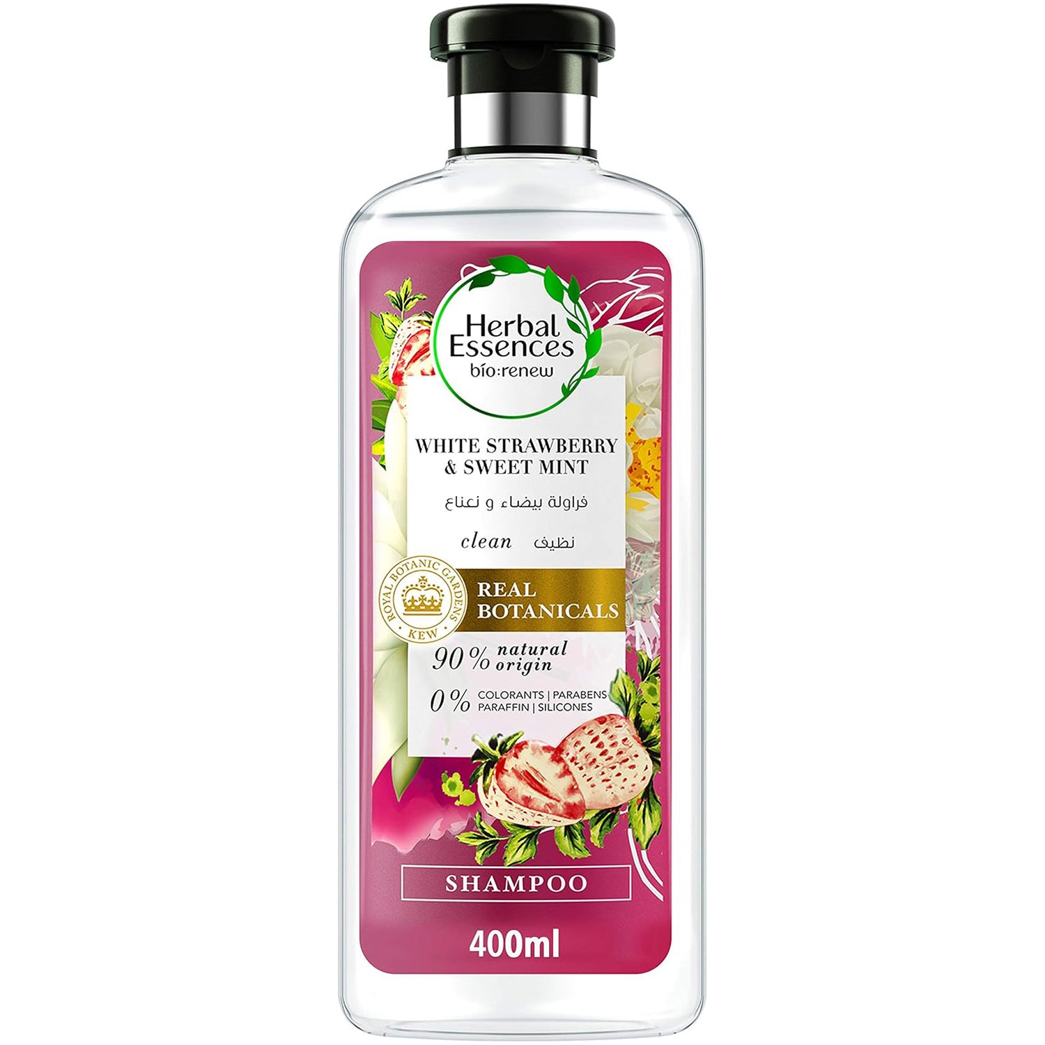 Shampoo, Daily Hair Care Essential with Practical Reliable Design Every Day