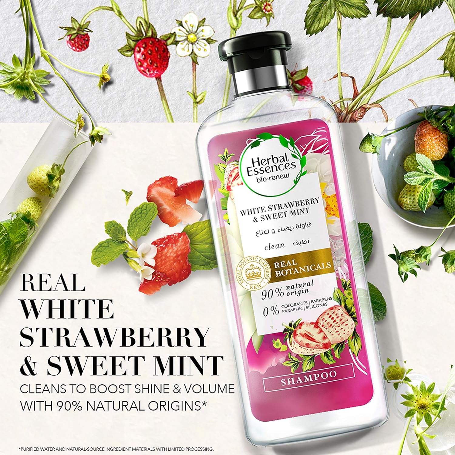Shampoo, Daily Hair Care Essential with Practical Reliable Design Every Day